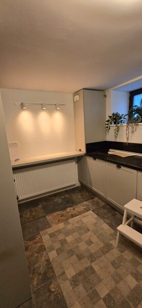 Pache Protopopescu, in vila, spatiu 2 camere